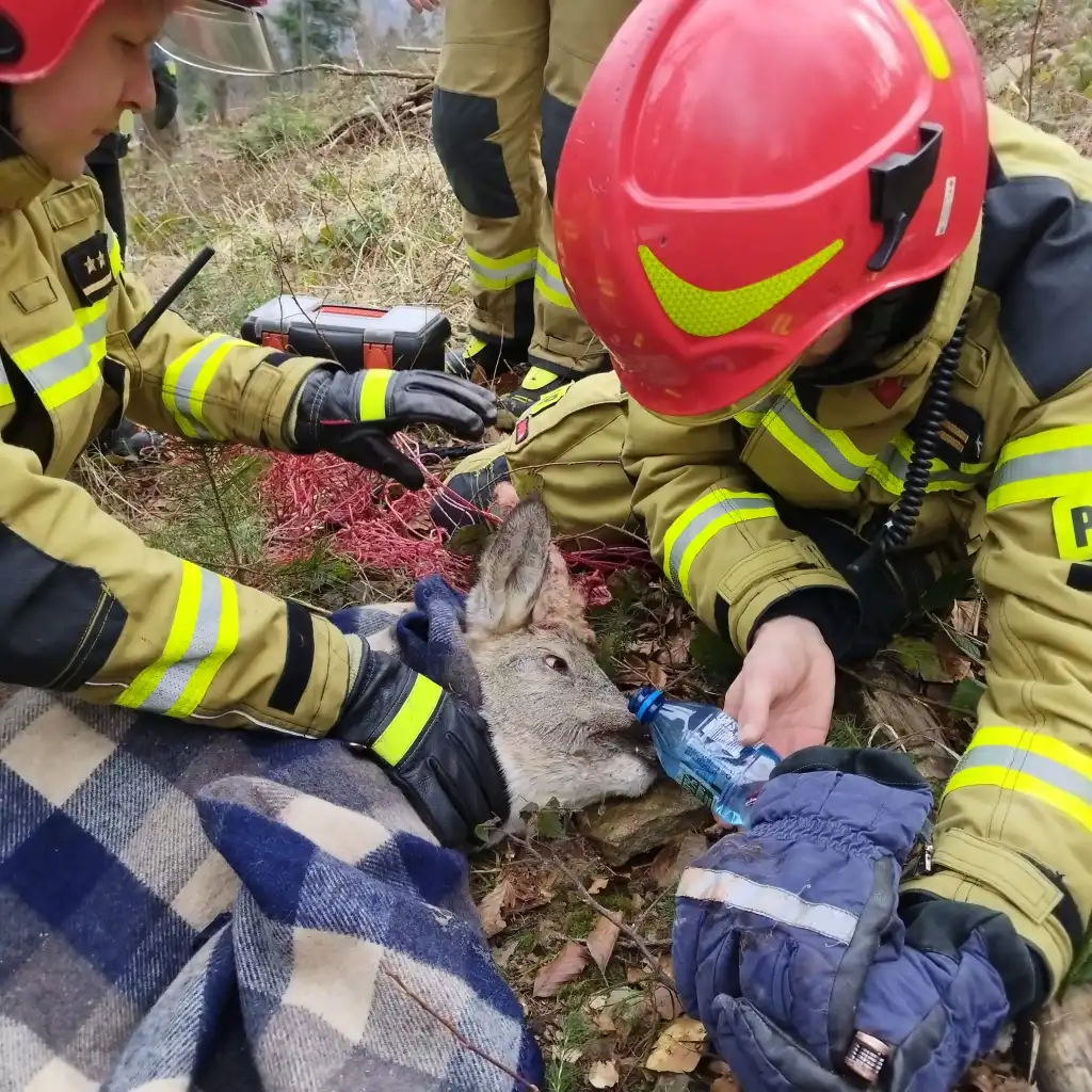 Niecodzienna akcja strażaków w Krynicy-Zdroju