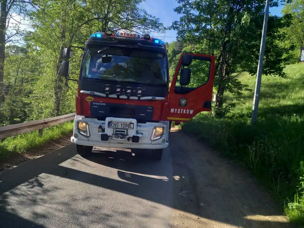 Seria potrąceń na drogach Sądecczyzny