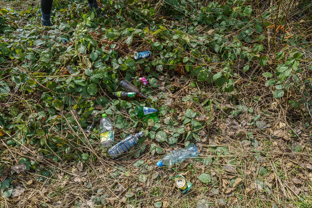 Nowy Sącz: 23 marca Wielka akcja sprzątania