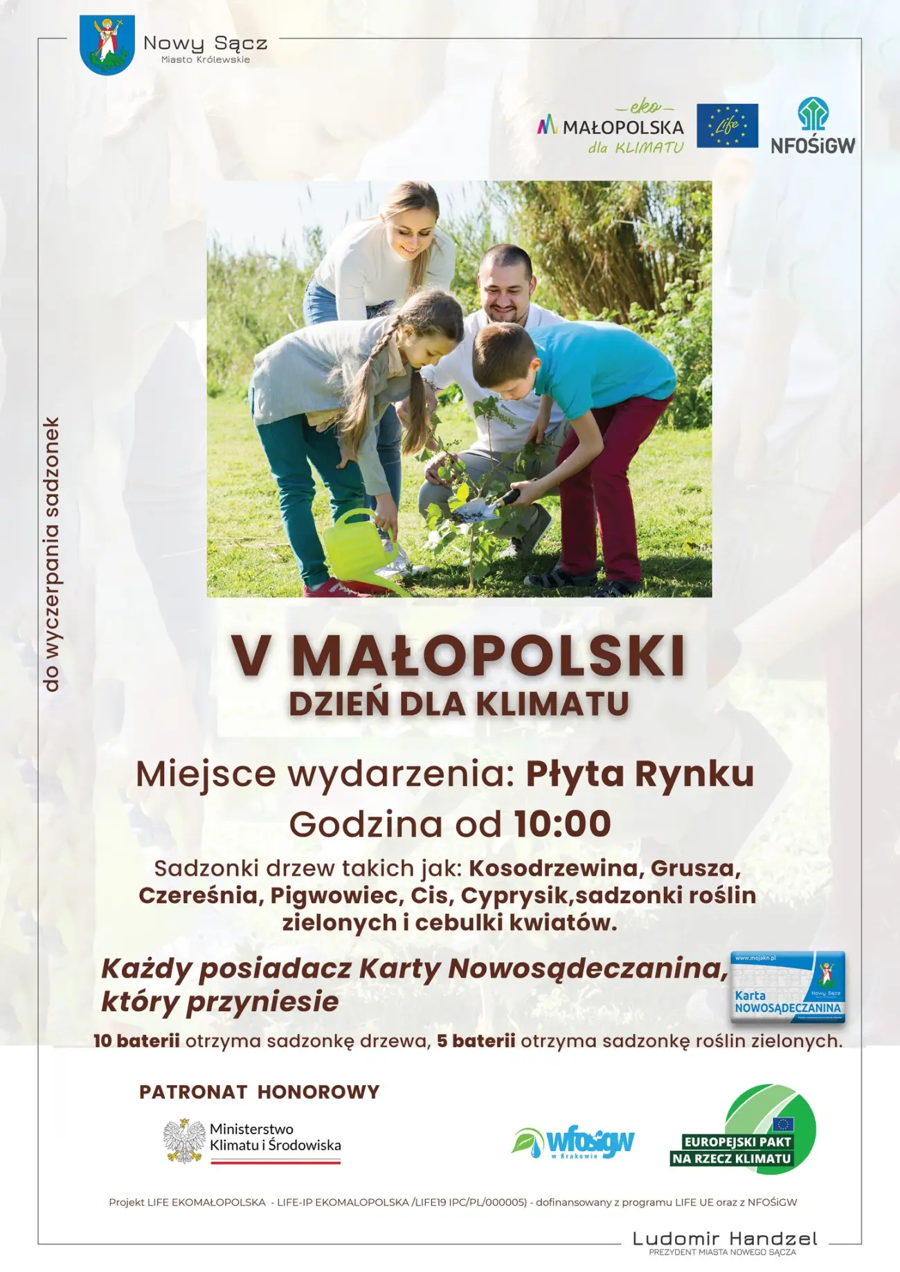 Baterie za sadzonki. Ekologiczna akcja już jutro na Rynku w Nowym Sączu
