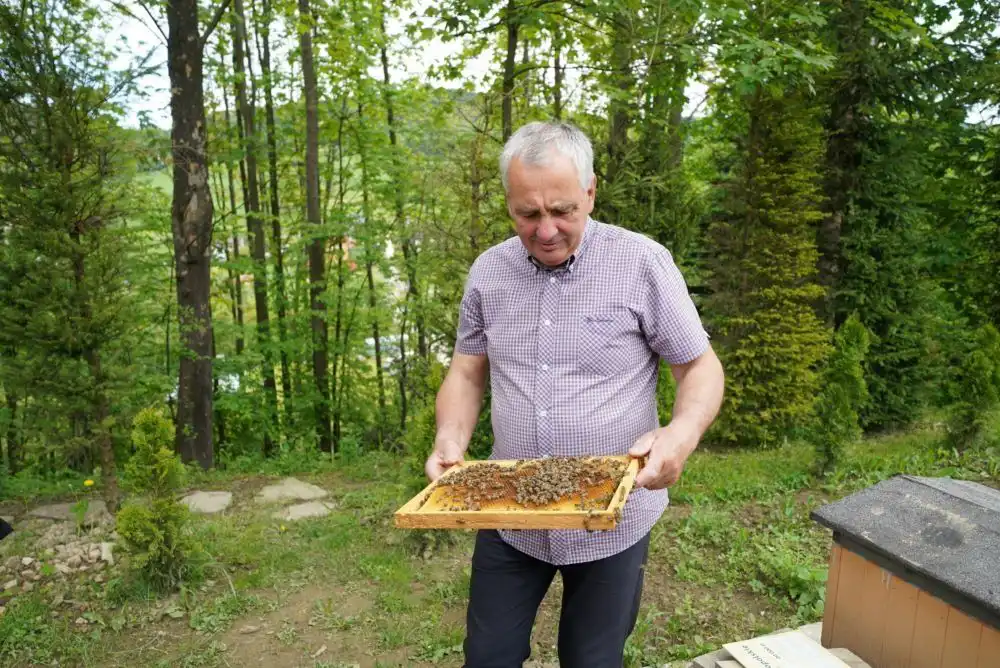 Wicemarszałek Łukasz Smółka wręczył czeki laureatom tegorocznej edycji Konkursu „Małopolska Pszczoła”