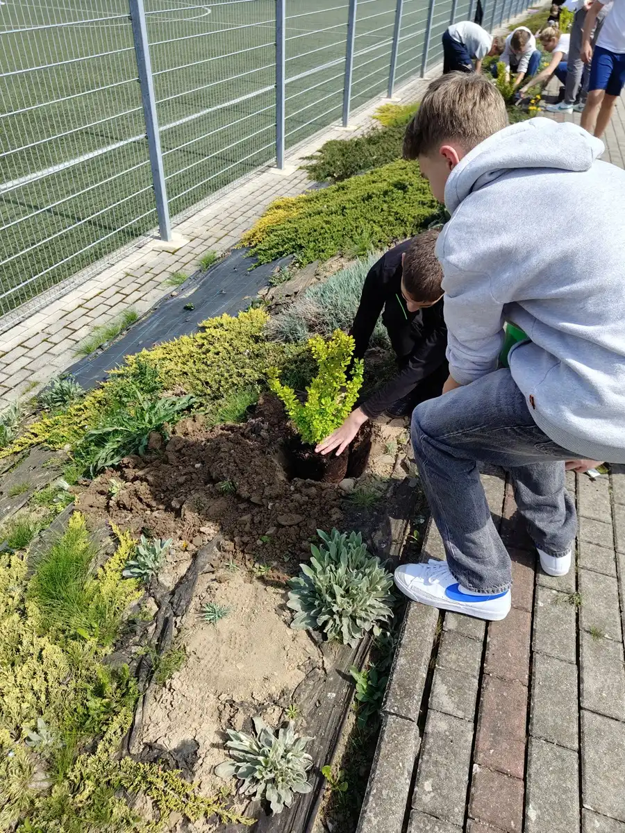 Krzewy dla ziemi. Uczniowie Krygu w ekologicznej akcji