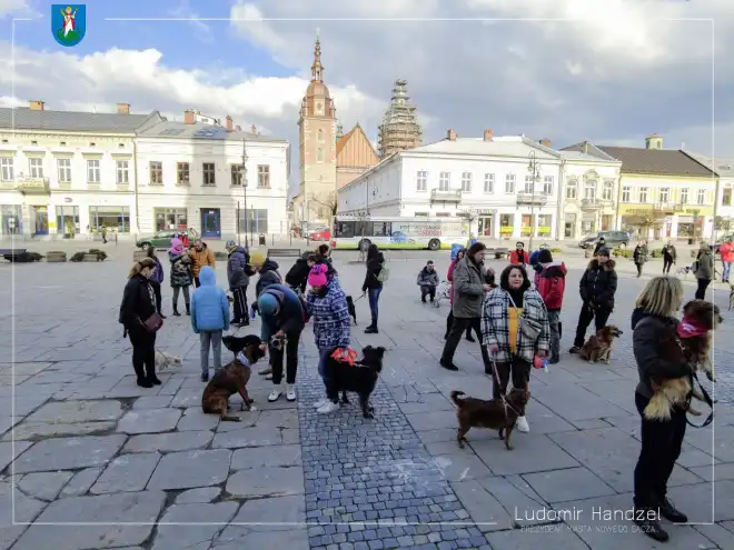 Nowy Sącz: Za nami I Sądecki Marsz Adopciaków