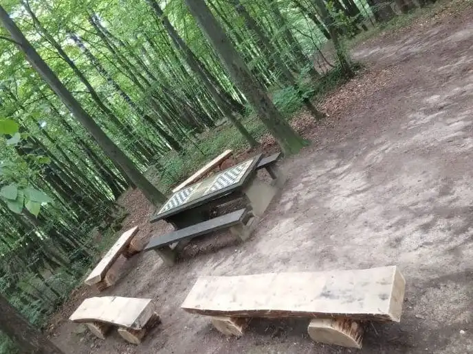 Nowy Sącz: trwa rewitalizacja Lasku Falkowskiego