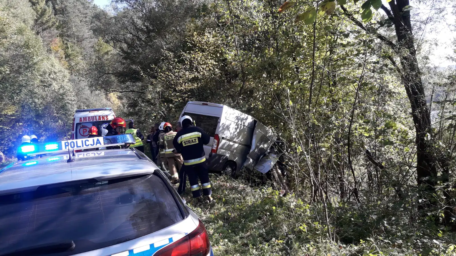 Leluchów. Wypadek samochodu dostawczego. Pojazd zjechał z drogi i uderzył w drzewa