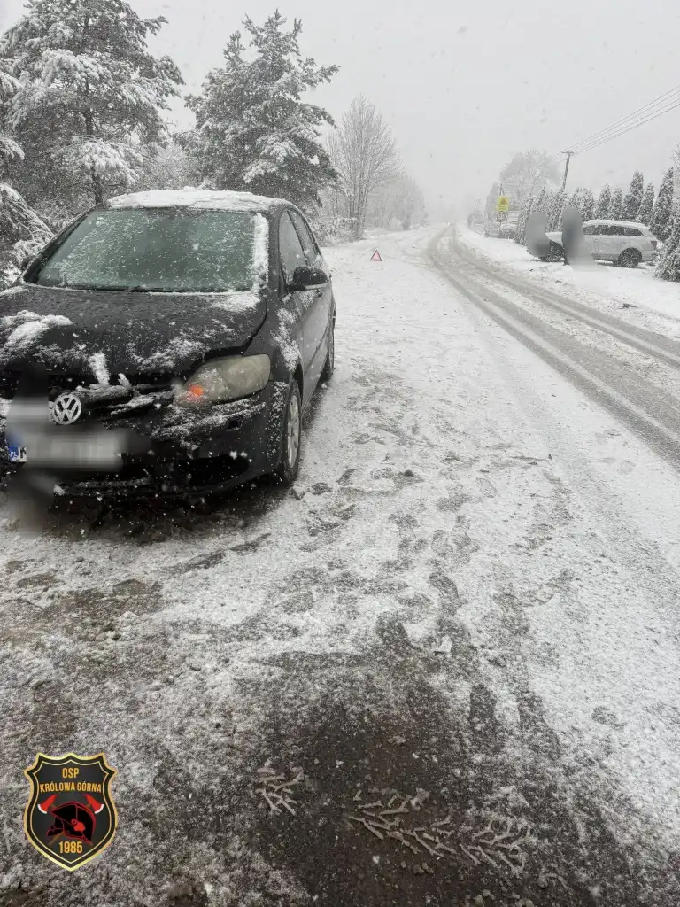 Śnieg daje się we znaki. Strażacy w akcji po intensywnych opadach