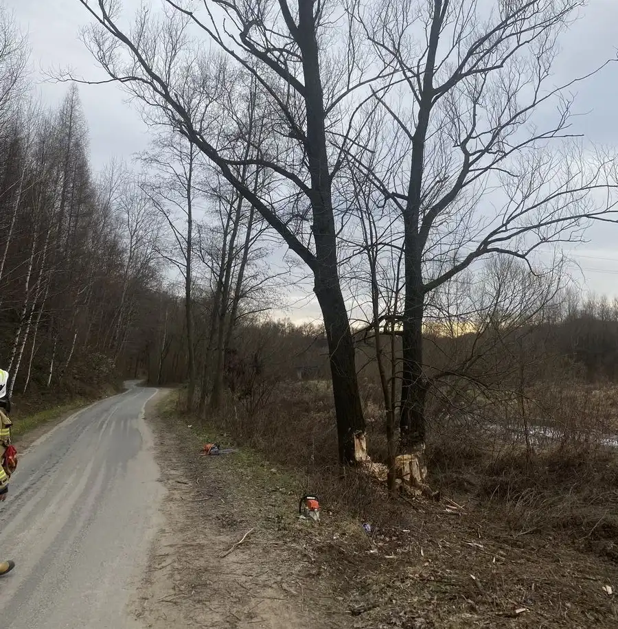 Bobry zagroziły drodze! Strażacy z OSP Łososina Dolna interweniowali