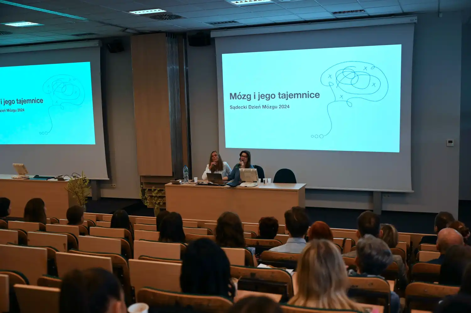 Sądecki Dzień Mózgu z Fundacją „Tu i Teraz. Oswajamy Alzheimera” i Akademią Nauk Stosowanych