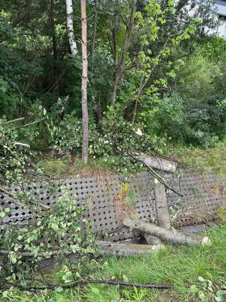 Silna wichura na Sądecczyźnie. Interweniowali strażacy