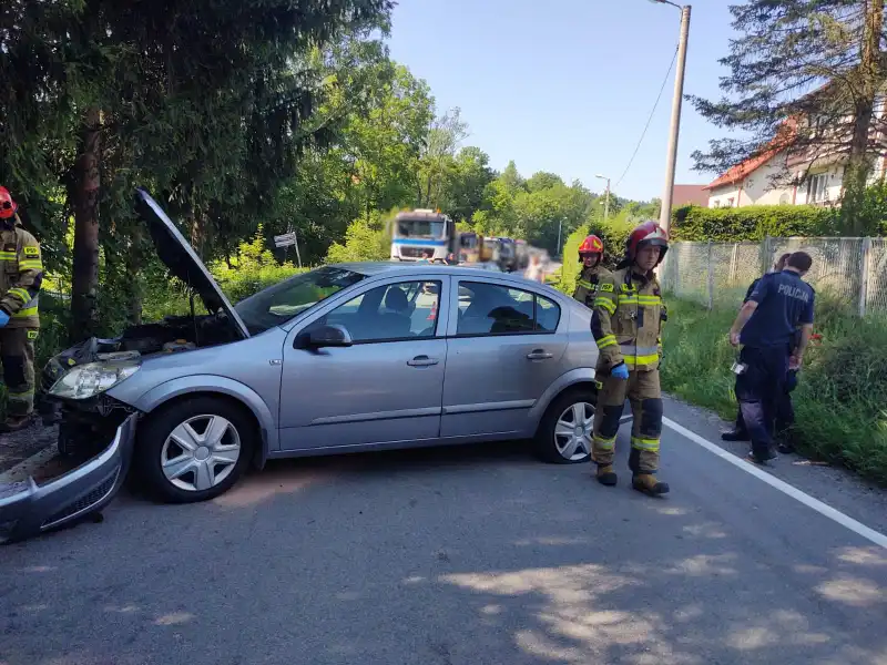 Ptaszkowa: stracił kontrolę nad autem i uderzył w drzewo