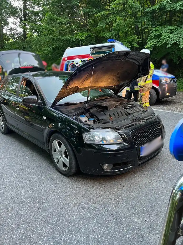 Kolizja w Jasiennej