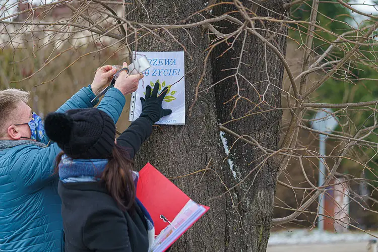 Mieszkańcy osiedla Nawojowska walczą o park. Nie chcą wycinki ponad stu drzew
