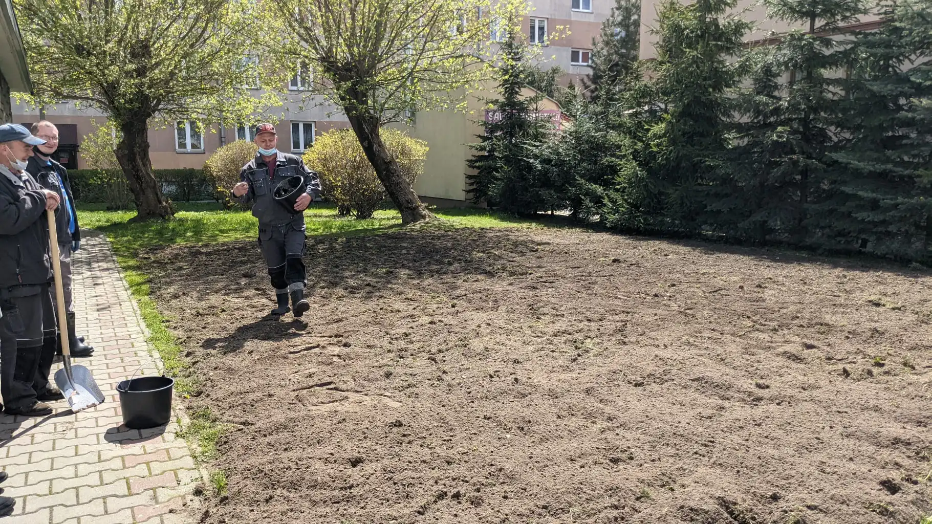 Nowy Sącz: Na Osiedlu Kochanowskiego powstała pierwsza łąka kwietna