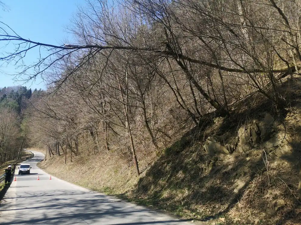 Sądecczyzna: w weekend strażacy interweniowali w związku z silnym wiatrem