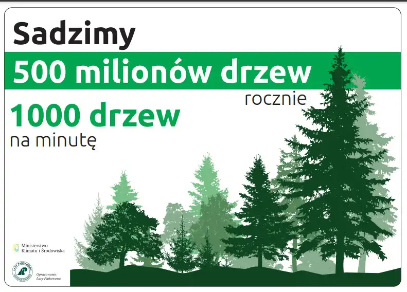 Lasy Państwowe rozpoczynają ogólnopolską akcję skupu gruntów pod nowe lasy