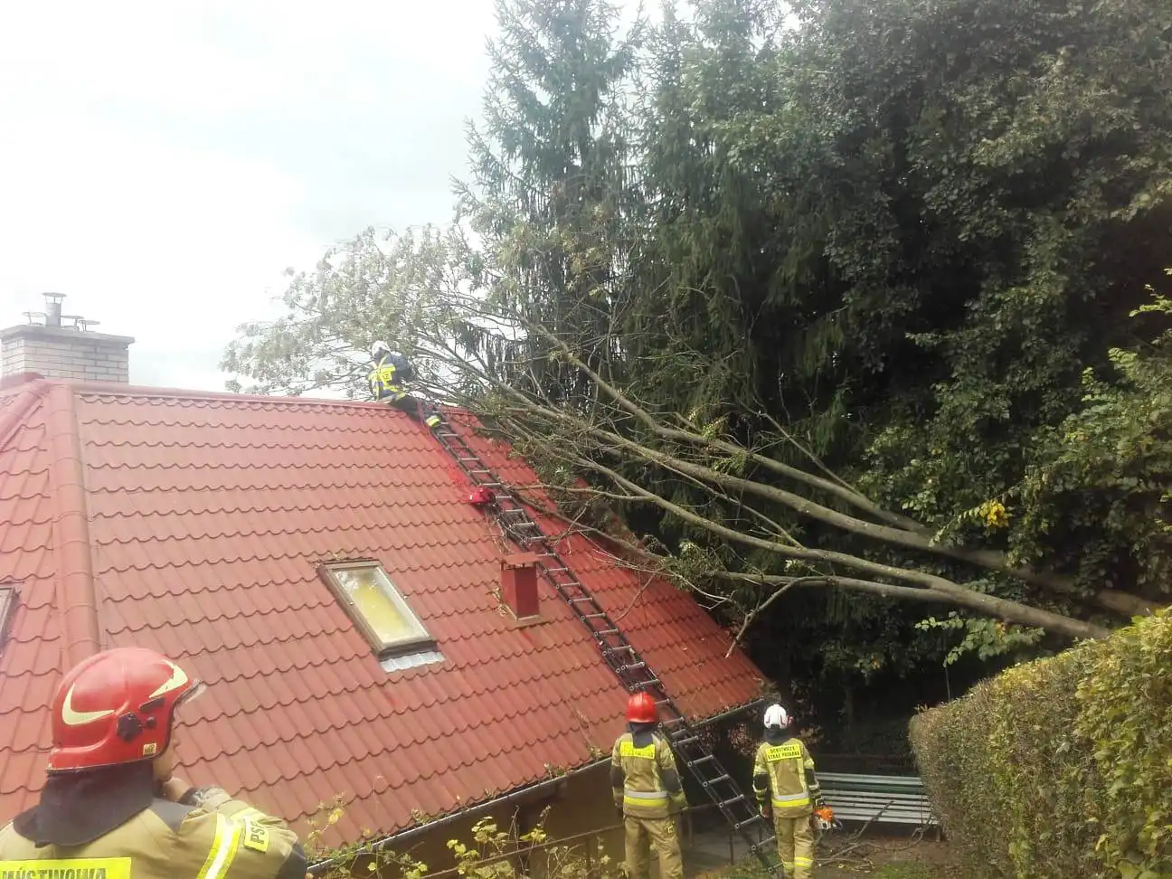 Sądecczyzna: strażacy interweniowali w związku z silnym wiatrem