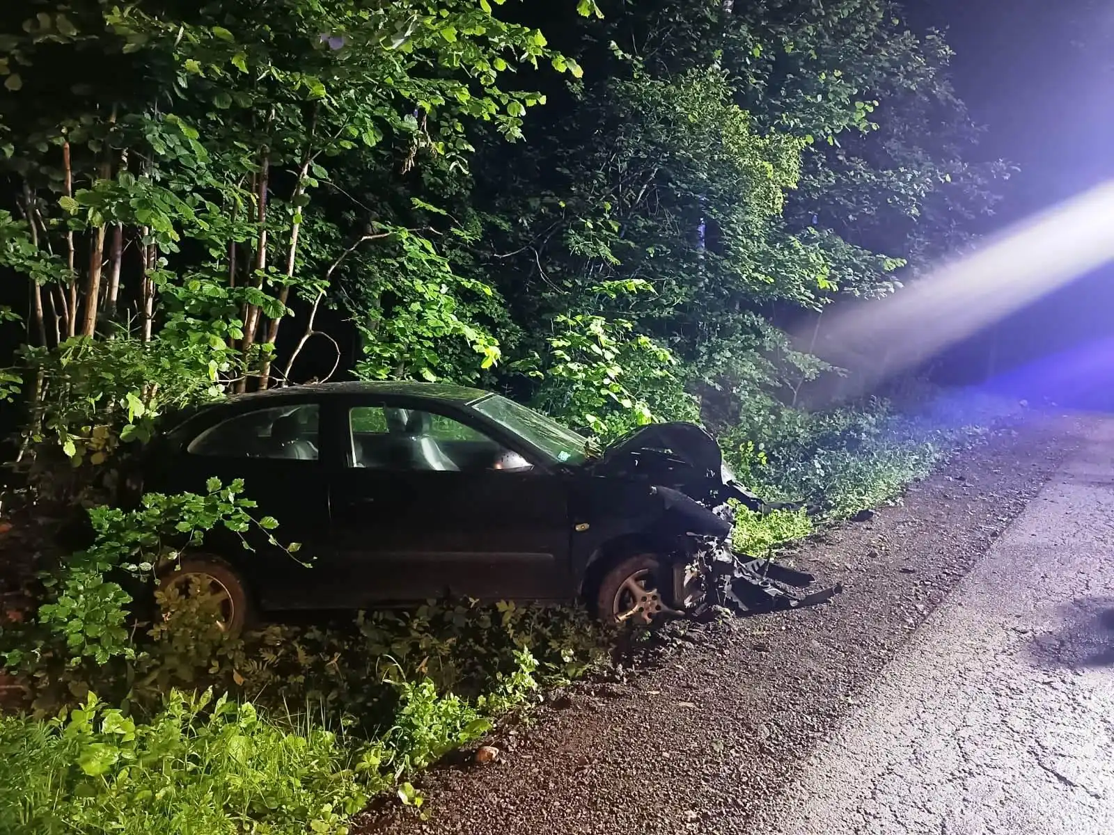 Kotów: Osobowy Seat Ibiza uderzył w drzewo i "wylądował" w przydrożnym rowie