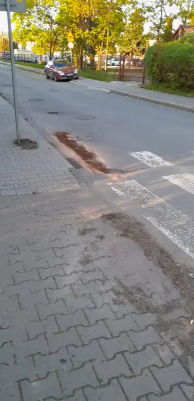Nowy Sącz: samochód osobowy zderzył się z autobusem