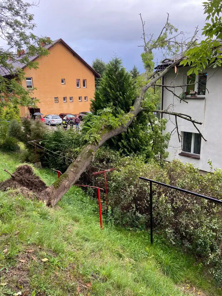 W Jazowsku drzewo spadło na dach budynku mieszkalnego