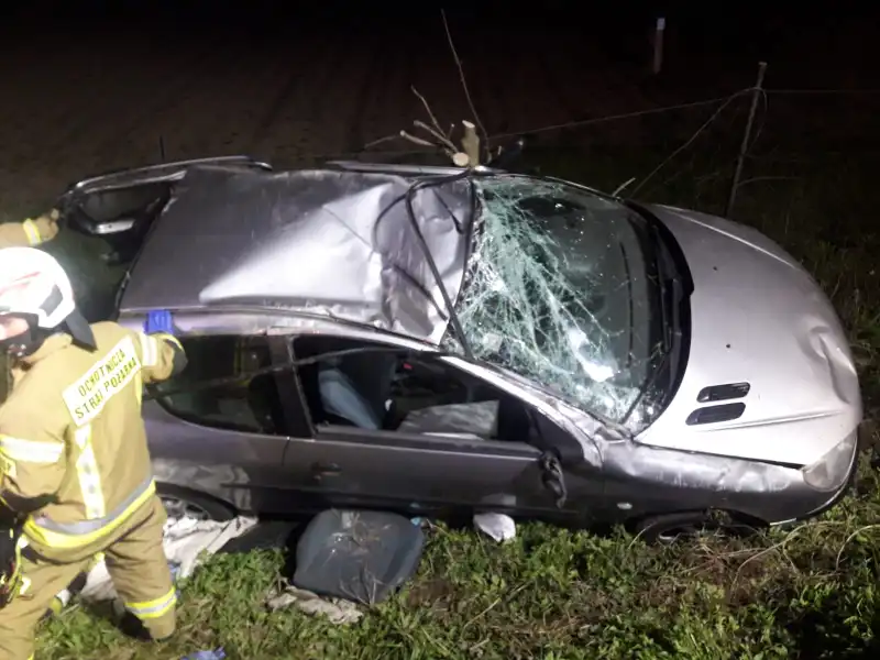 W Brzeznej osobówka wypadła z drogi i uszkodziła ogrodzenie