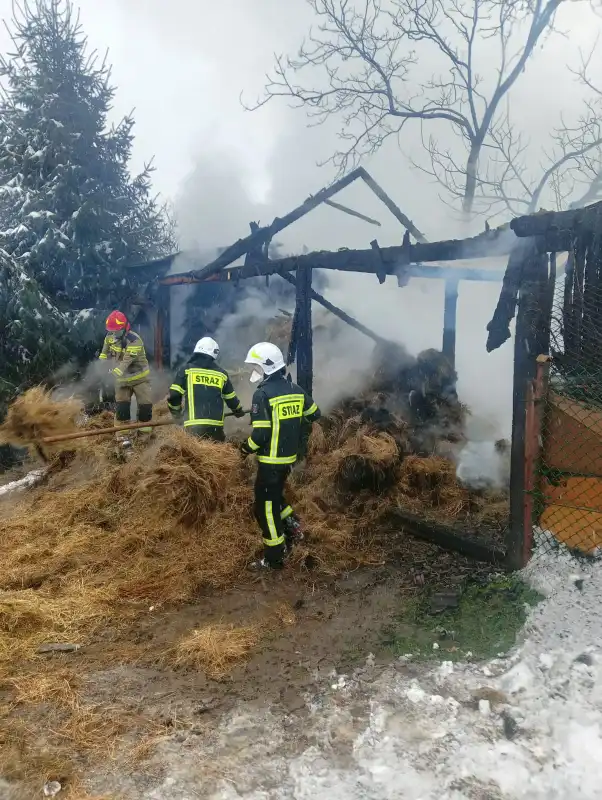 Pożar w Rdziostowie. Spłonął drewniany budynek gospodarczy