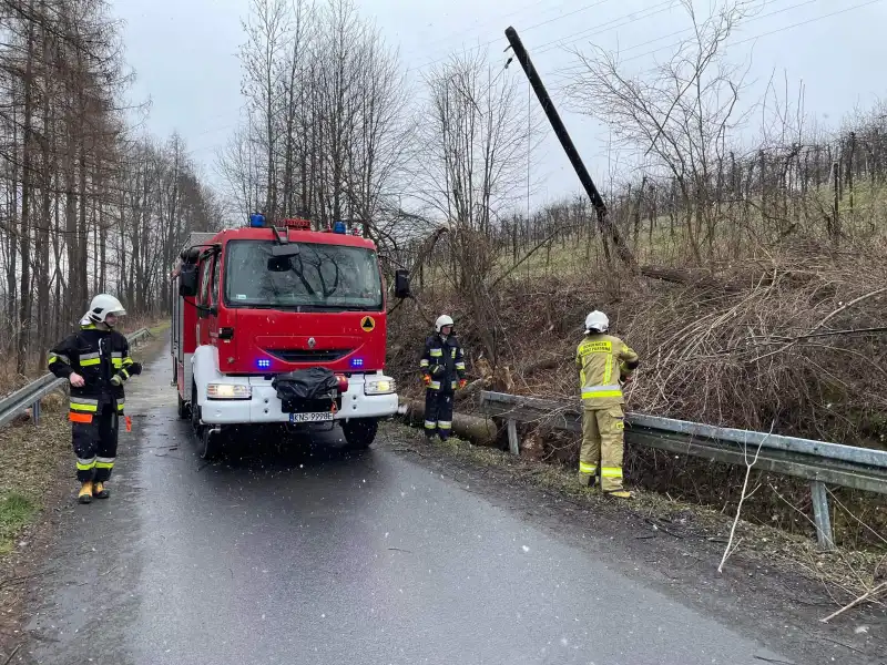 Pracowity weekend sądeckich strażaków. Gasili pożary i usuwali skutki wichury