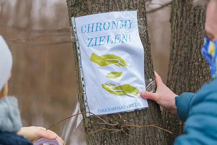Mieszkańcy osiedla Nawojowska walczą o park. Nie chcą wycinki ponad stu drzew