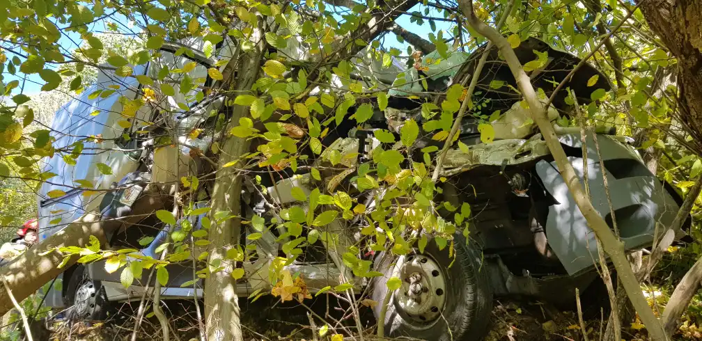 Leluchów. Wypadek samochodu dostawczego. Pojazd zjechał z drogi i uderzył w drzewa