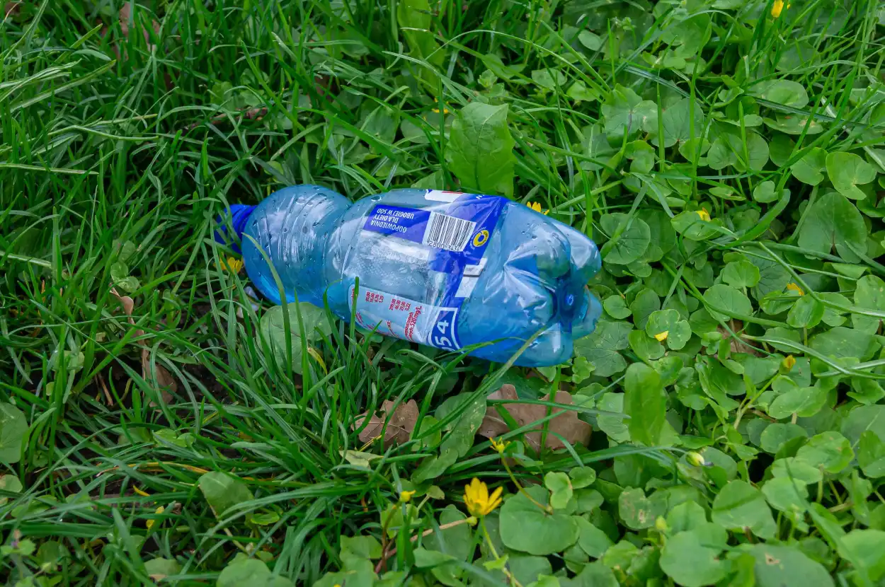 22 kwietnia społeczne sprzątanie Starego Cmentarza