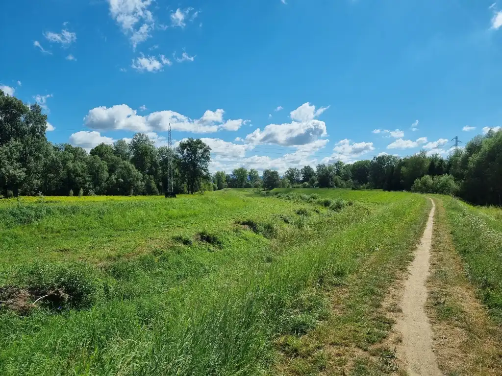 Nowe inwestycje rowerowe i biegowe w Gminie Chełmiec