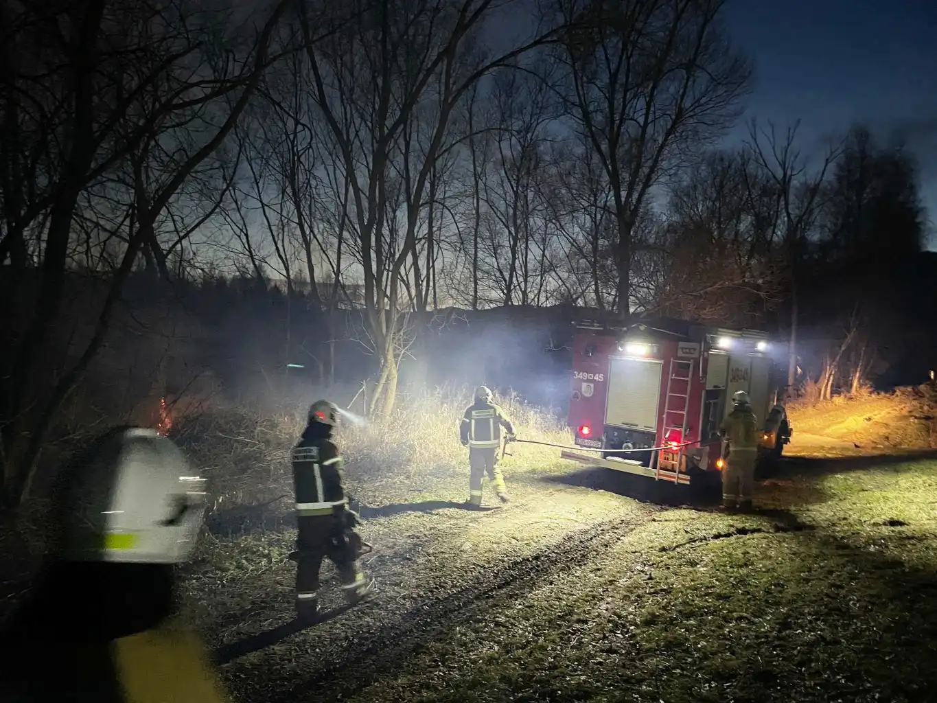 Ogień w Czerńcu. Strażacy walczyli z pożarem suchej trawy