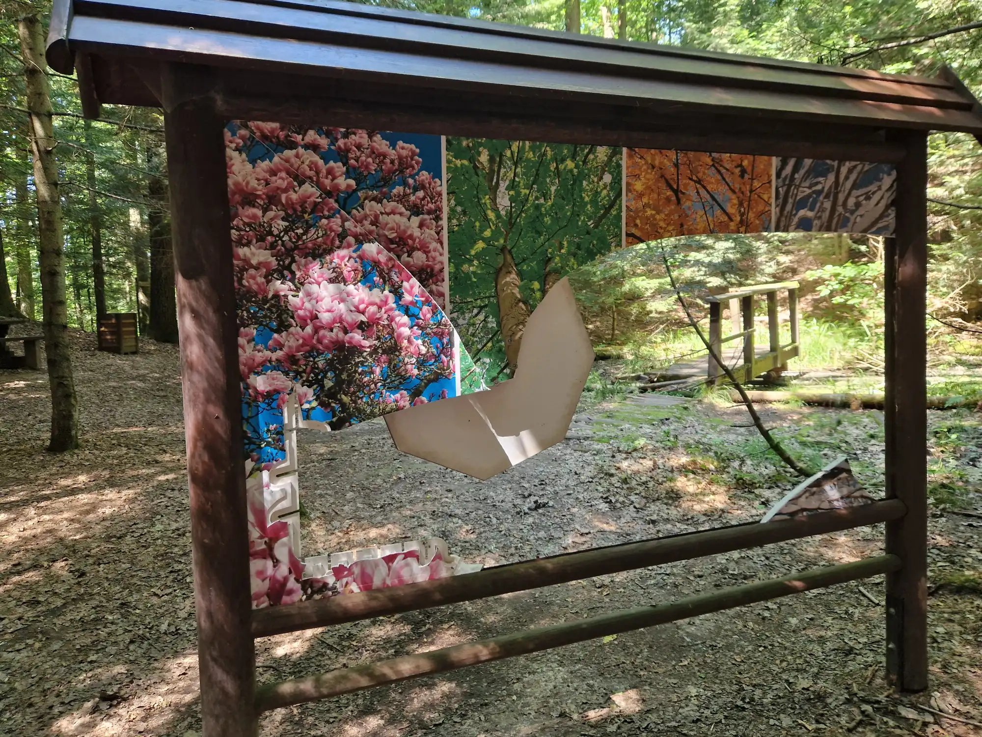Wandale niszczą Lasek Falkowski. Zniszczenia tablic informacyjnych i mostku