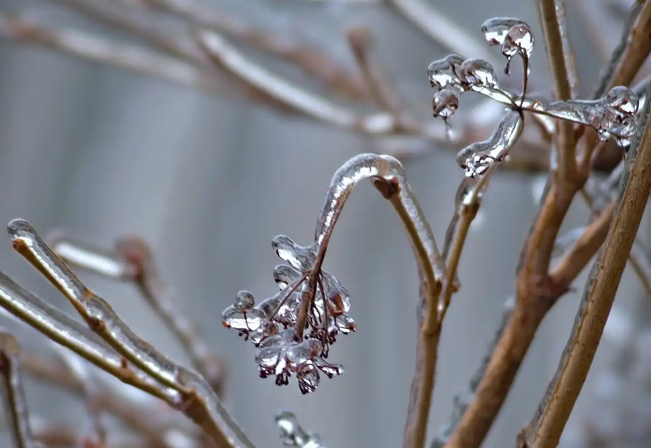 Ostrzeżenie meteorologiczne przed wiatrem, deszczem i odwilżą
