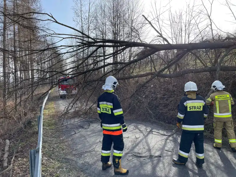 Pracowity weekend sądeckich strażaków. Gasili pożary i usuwali skutki wichury