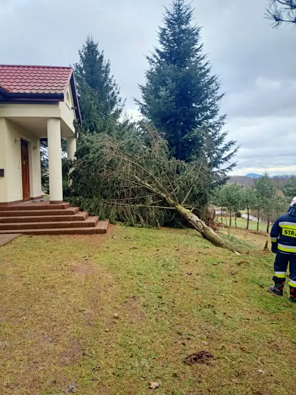 Sądecczyzna: Wietrzny początek tygodnia. Interweniowali strażacy