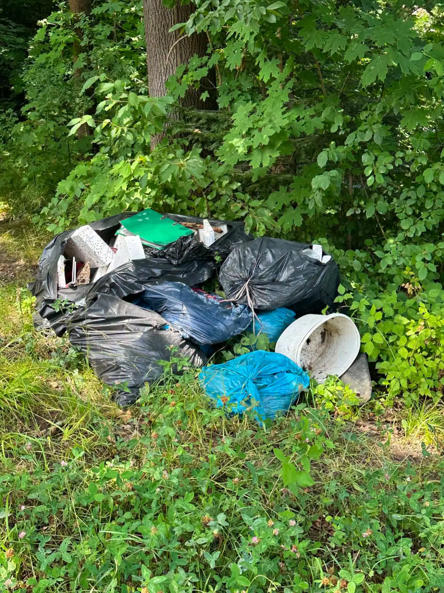 Dzikie wysypisko w Szymbarku. Gmina apeluje do świadków