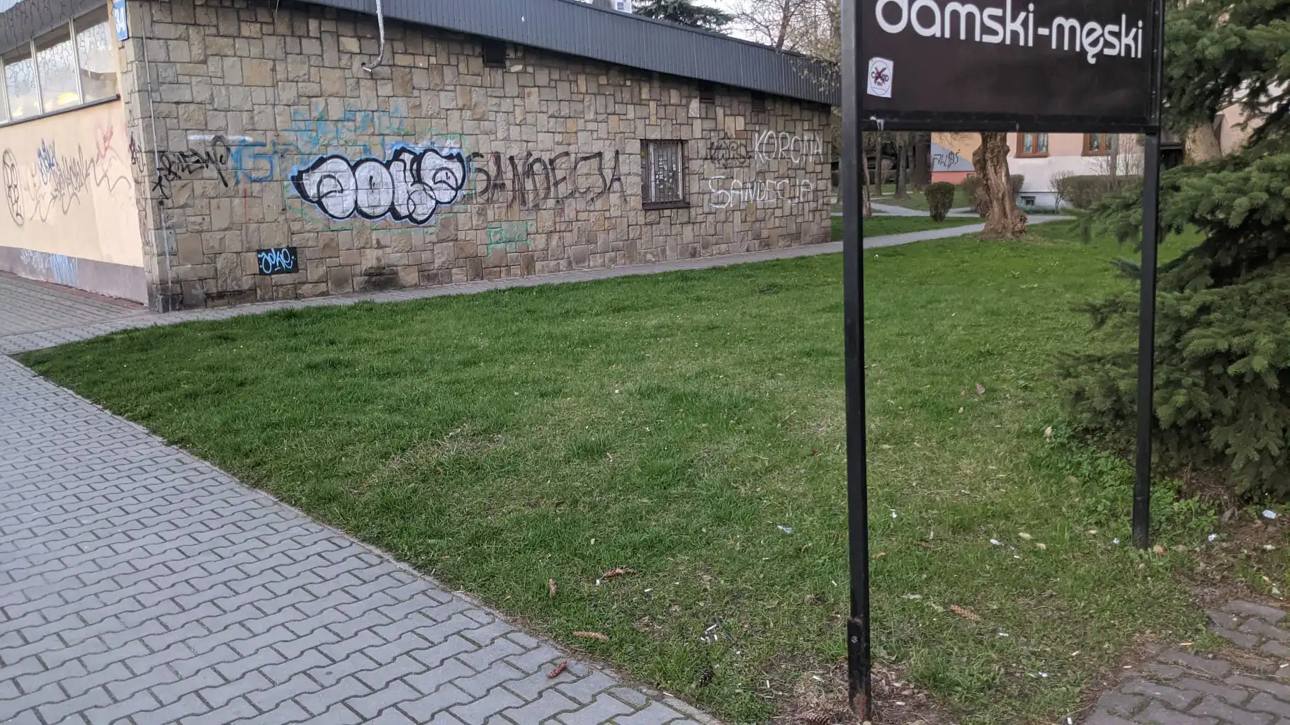 Nowy Sącz: Na Osiedlu Kochanowskiego powstała pierwsza łąka kwietna