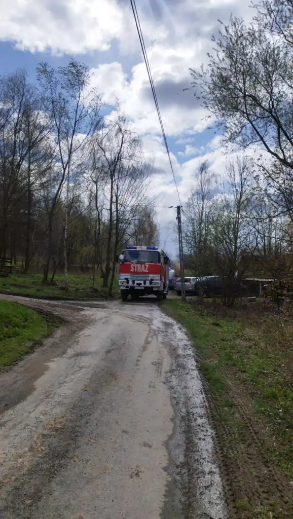 Pożar w Szalowej. Płonął budynek gospodarczy