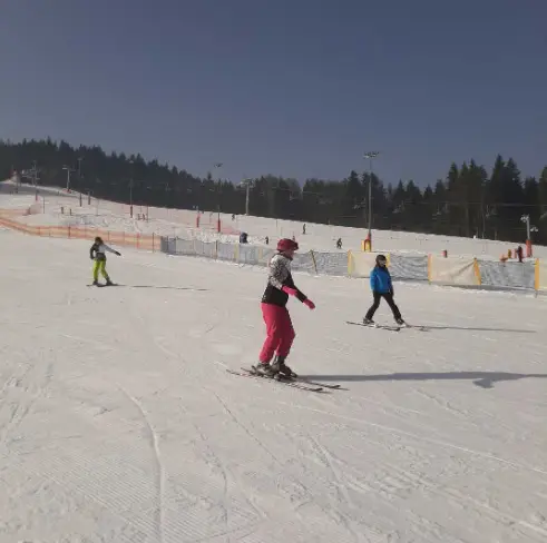 Studenci Instytutu Kultury Fizycznej odbywają zajęcia praktyczne na obozie sportowym