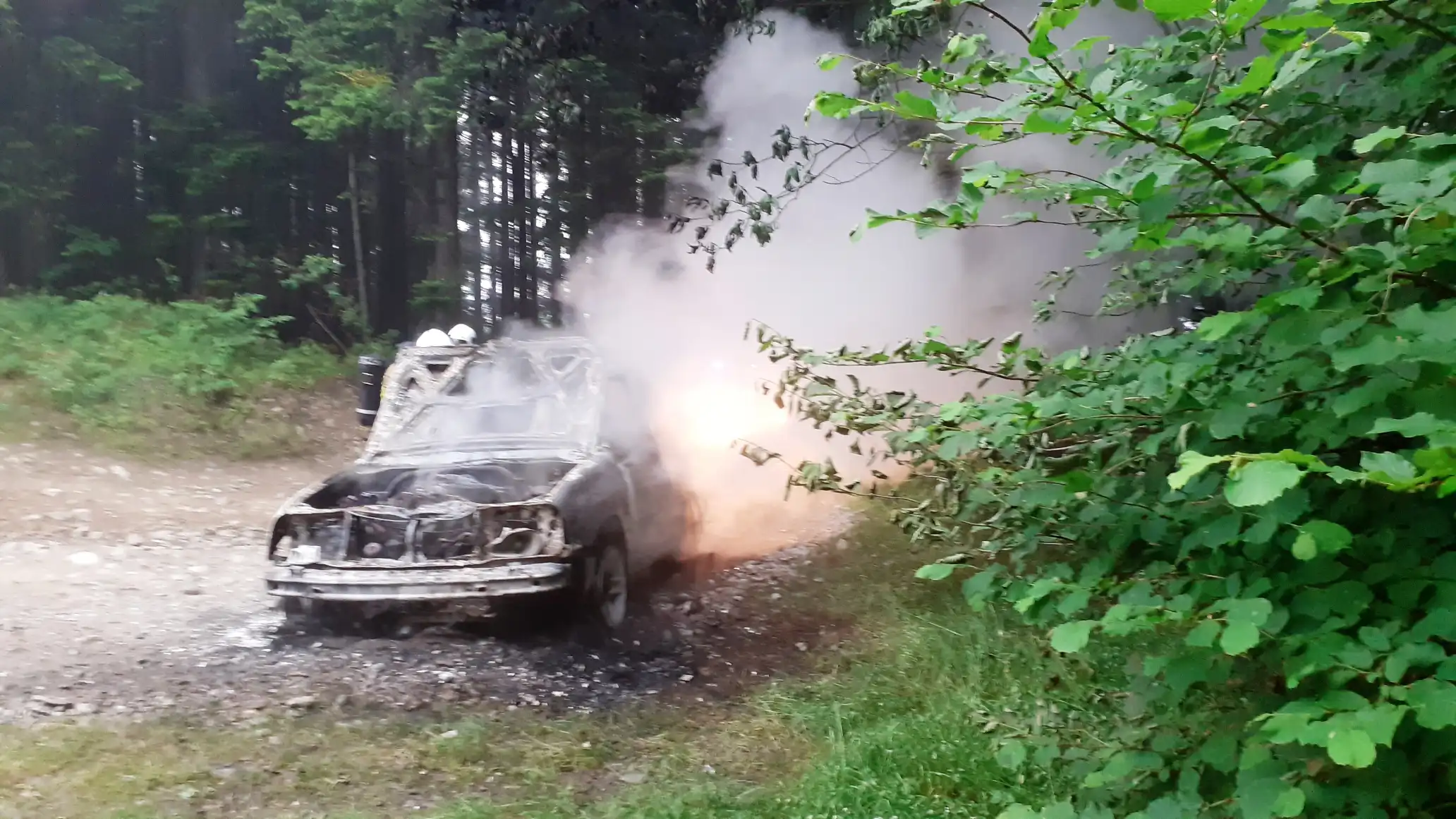 Pożar osobówki w Gaboniu. Auto znajdowało się w bliskim sąsiedztwie lasu