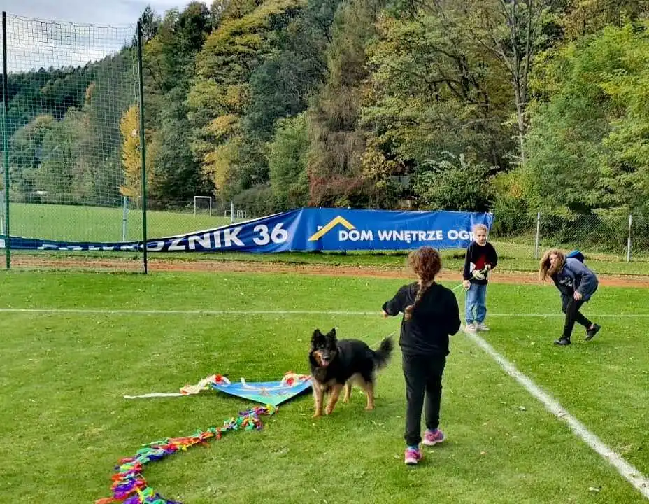 43. konkurs latawców w Muszynie