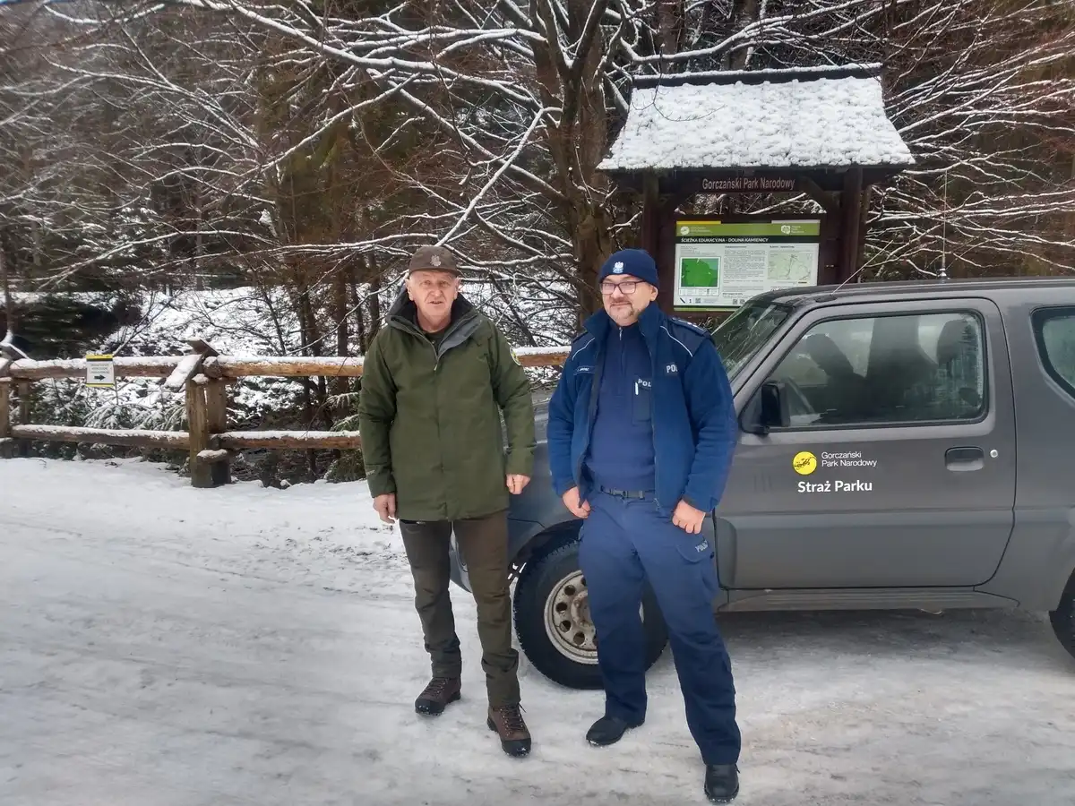 Wspólna walka z nielegalnym pozyskiwaniem choinek. Policja i straż leśna w akcji