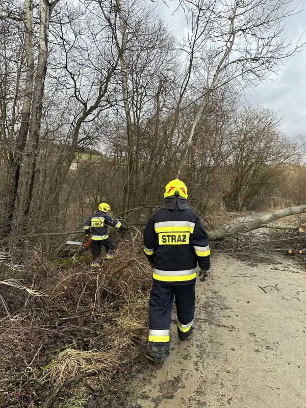 Sądecczyzna: Wietrzny początek tygodnia. Interweniowali strażacy