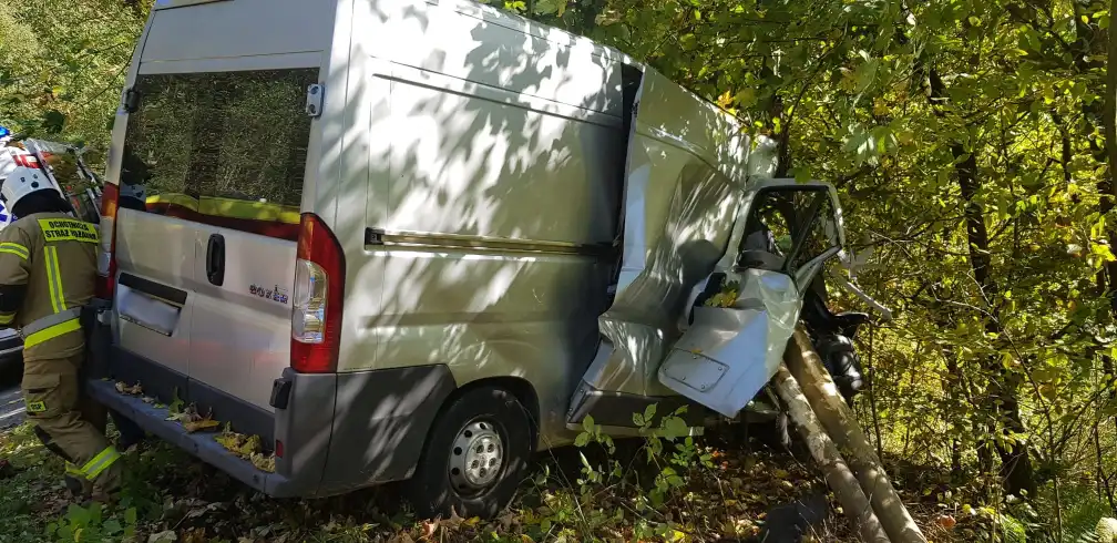 Leluchów. Wypadek samochodu dostawczego. Pojazd zjechał z drogi i uderzył w drzewa