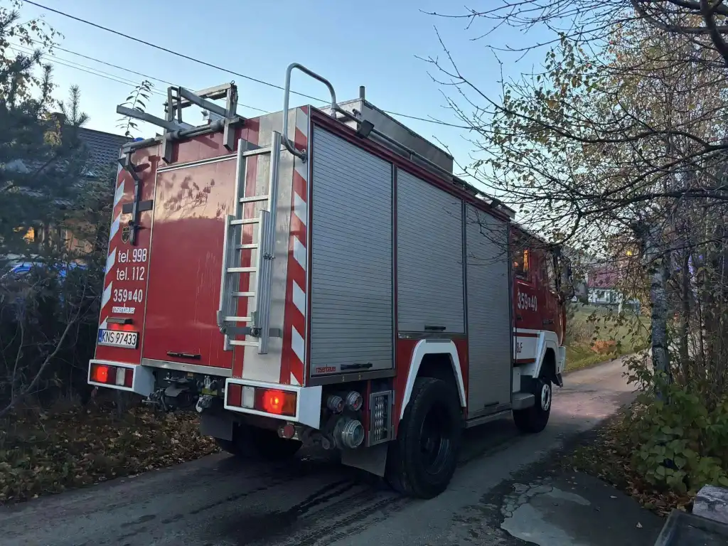 Interwencja strażaków w Kamionce Wielkiej