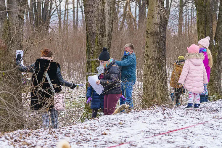 Mieszkańcy osiedla Nawojowska walczą o park. Nie chcą wycinki ponad stu drzew