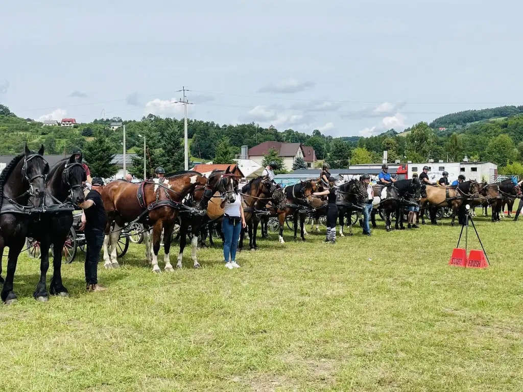 W Ujanowicach rozegrano XIV Galicyjski Konkurs Powożenia Zaprzęgami Konnymi