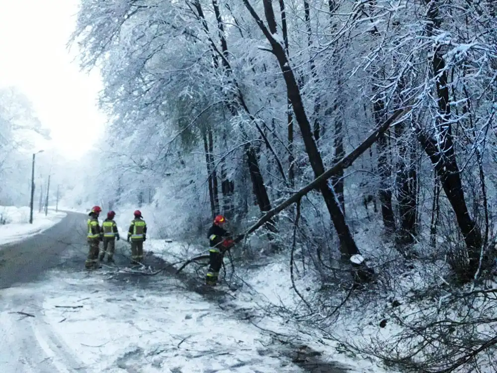 Powrót zimy na Sądecczyznę. Strażacy usuwają powalone drzewa. Interweniowali już 40 razy