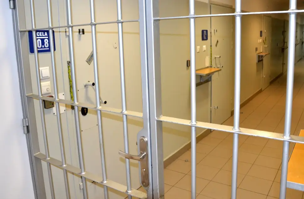 Wielka obława na Sądecczyźnie. Policja zatrzymała 12 poszukiwanych osób