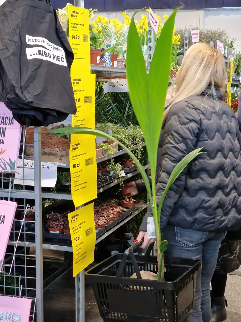 Kolejna edycja największego targu roślin doniczkowych w Krakowie!
